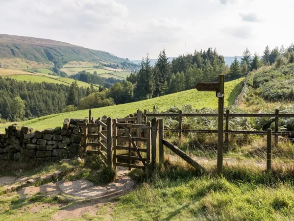 Cleveland Way - Walking Holidays UK | Walk With Williams