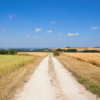 Walk The Yorkshire Wolds Way - Image 3